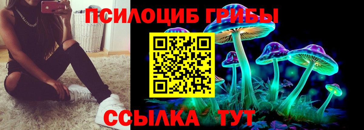Галлюциногенные грибы мухоморы Горячий Ключ