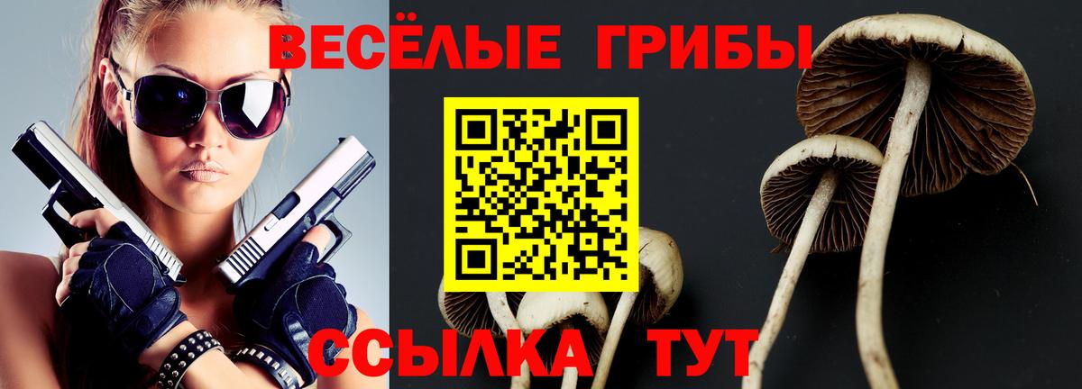 Горячий Ключ  Галлюциногенные грибы ЛСД  Вход с VPN  Псилоцибиновые грибы ЛСД 